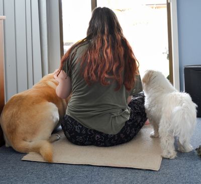 my 21yo with our 2 dogs, Chardi the Lab, and bailey the Maltese Shizhu.